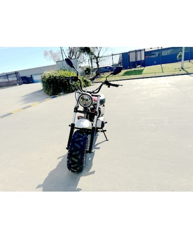 MB200X TrailMaster Hurricane Mini Bike Coleman Full sized REC-REG E-start RED