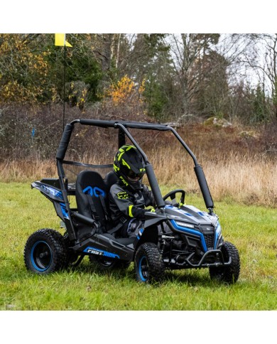 Upper Arm FORZA 1 K1 Dune Buggy 163CC 5.5HP Off Road UTV ATV 2 Seater 4 Wheel