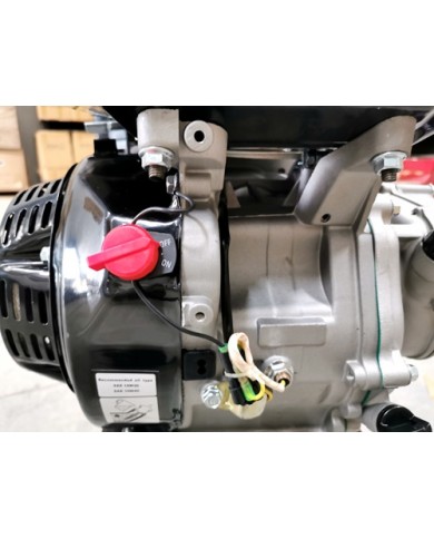 9HP 2:1 Reduction Gear Box Stationary Motor Engine Wet Clutch 4 Go Kart Trike