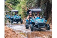 300cc JINLANG Water Cooled Engine Buggy FORZA 7 K7 Challenger UTV Built-in Rev