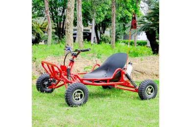 63cc Go Kart GK63 4 Wheeler 2 Stroke Buggy Adults Teens All-Terrain Off Road Toy