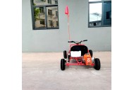 63cc Go Kart GK63 4 Wheeler 2 Stroke Buggy Adults Teens All-Terrain Off Road Toy