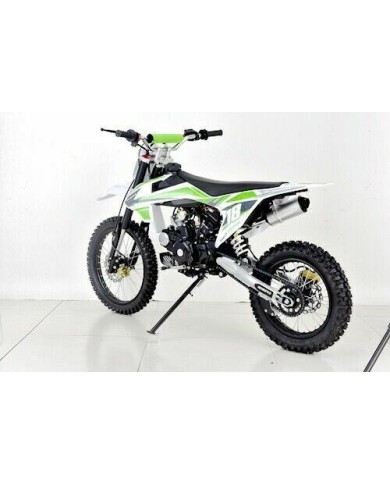 125CC DIRT BIKE TRAIL PIT MOTOR MOTOCROSS PRO DINGO ELECTRIC START 14/17 BIG WHEEL GREEN