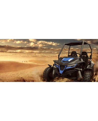 250cc Twin Seat Dune Buggy  Water Cooled Right-hand Drive