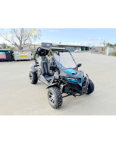 300CC Dune Buggy Off Road Water Cool EFI UTV 2 Seater FORZA 7 K7 PRO Options
