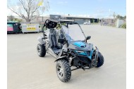 300CC Dune Buggy Off Road Water Cool EFI UTV 2 Seater FORZA 7 K7 PRO Options
