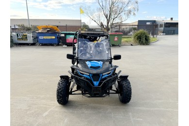 300CC Dune Buggy Off Road Water Cool EFI UTV 2 Seater FORZA 7 K7 PRO Options