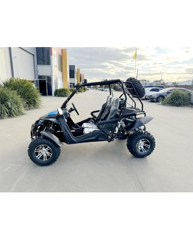 300CC Dune Buggy Off Road Water Cool EFI UTV 2 Seater FORZA 7 K7 PRO Options