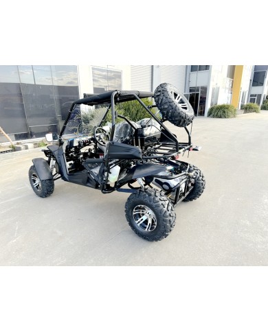 300CC Dune Buggy Off Road Water Cool EFI UTV 2 Seater FORZA 7 K7 PRO Options