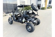300CC Dune Buggy Off Road Water Cool EFI UTV 2 Seater FORZA 7 K7 PRO Options