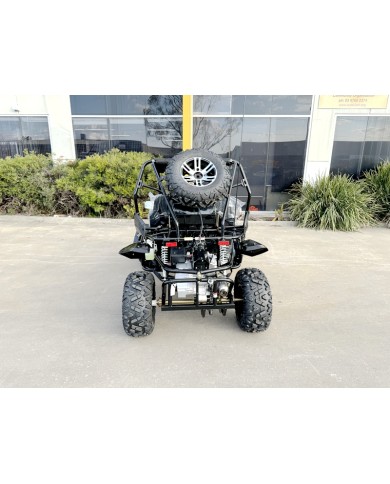 300CC Dune Buggy Off Road Water Cool EFI UTV 2 Seater FORZA 7 K7 PRO Options