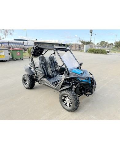 300CC Dune Buggy Off Road Water Cool EFI UTV 2 Seater FORZA 7 K7 PRO Options