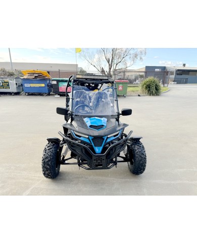 300CC Dune Buggy Off Road Water Cool EFI UTV 2 Seater FORZA 7 K7 PRO Options