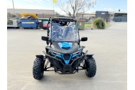 300CC Dune Buggy Off Road Water Cool EFI UTV 2 Seater FORZA 7 K7 PRO Options