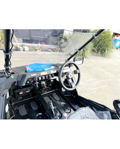 300CC Dune Buggy Off Road Water Cool EFI UTV 2 Seater FORZA 7 K7 PRO Options