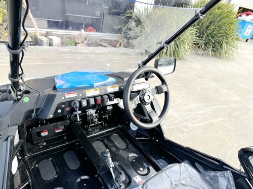 300CC Dune Buggy Off Road Water Cool EFI UTV 2 Seater FORZA 7 K7 PRO Options