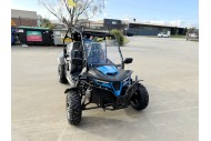 300CC Dune Buggy Off Road Water Cool EFI UTV 2 Seater FORZA 7 K7 PRO Options