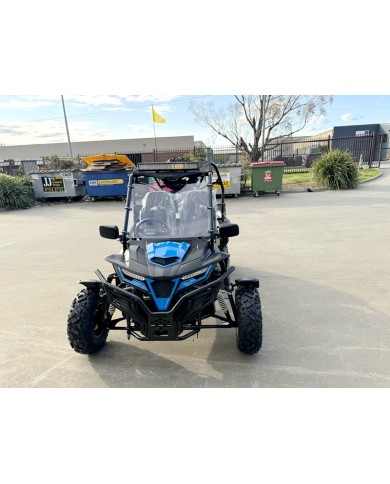 300CC Dune Buggy Off Road Water Cool EFI UTV 2 Seater FORZA 7 K7 PRO Options