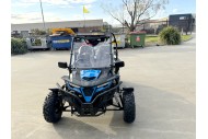 300CC Dune Buggy Off Road Water Cool EFI UTV 2 Seater FORZA 7 K7 PRO Options