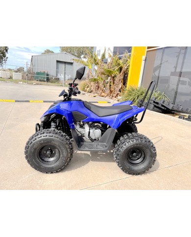 150CC ATV Sport Quad 4 Wheel Buggy Semi Auto ZOOMER BLUE kids Adults Off-road