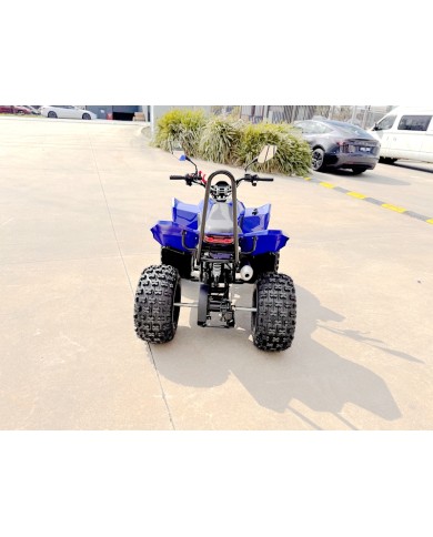 150CC ATV Sport Quad 4 Wheel Buggy Semi Auto ZOOMER BLUE kids Adults Off-road