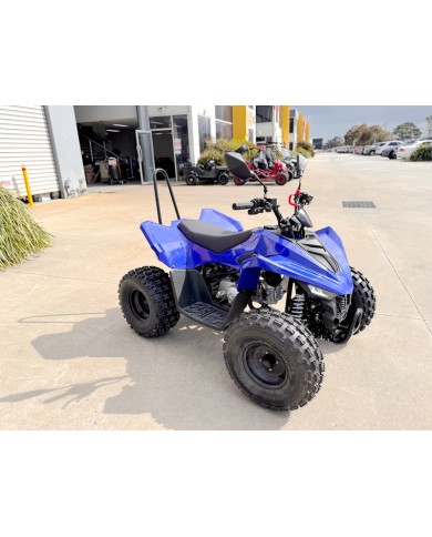 150CC ATV Sport Quad 4 Wheel Buggy Semi Auto ZOOMER BLUE kids Adults Off-road