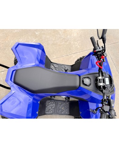 150CC ATV Sport Quad 4 Wheel Buggy Semi Auto ZOOMER BLUE kids Adults Off-road