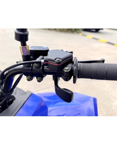 150CC ATV Sport Quad 4 Wheel Buggy Semi Auto ZOOMER BLUE kids Adults Off-road