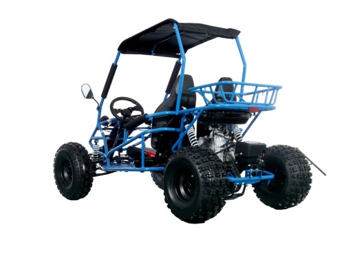 RAPTOR 150cc Semi Auto Buggy Teens & Adults Off Road Go Kart ATV Quad BLUE