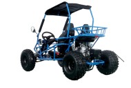 RAPTOR 150cc Semi Auto Buggy Teens & Adults Off Road Go Kart ATV Quad BLUE