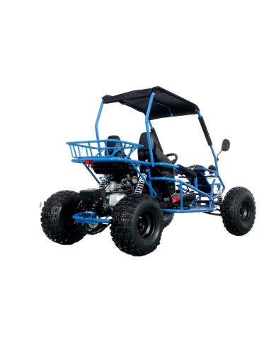 RAPTOR 150cc Semi Auto Buggy Teens & Adults Off Road Go Kart ATV Quad BLUE