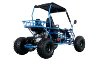 RAPTOR 150cc Semi Auto Buggy Teens & Adults Off Road Go Kart ATV Quad BLUE