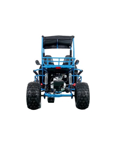 RAPTOR 150cc Semi Auto Buggy Teens & Adults Off Road Go Kart ATV Quad BLUE