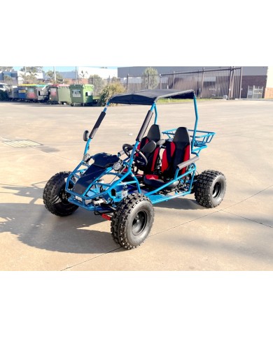 RAPTOR 150cc Semi Auto Buggy Teens & Adults Off Road Go Kart ATV Quad BLUE