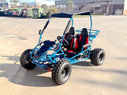 RAPTOR 150cc Semi Auto Buggy Teens & Adults Off Road Go Kart ATV Quad BLUE