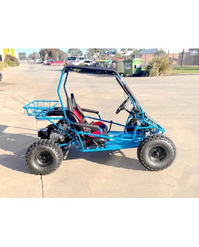 RAPTOR 150cc Semi Auto Buggy Teens & Adults Off Road Go Kart ATV Quad BLUE