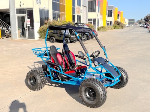 RAPTOR 150cc Semi Auto Buggy Teens & Adults Off Road Go Kart ATV Quad BLUE