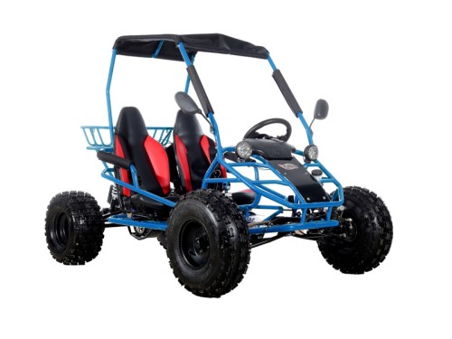 RAPTOR 150cc Semi Auto Buggy Teens & Adults Off Road Go Kart ATV Quad BLUE
