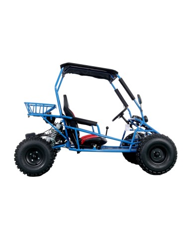 RAPTOR 150cc Semi Auto Buggy Teens & Adults Off Road Go Kart ATV Quad BLUE