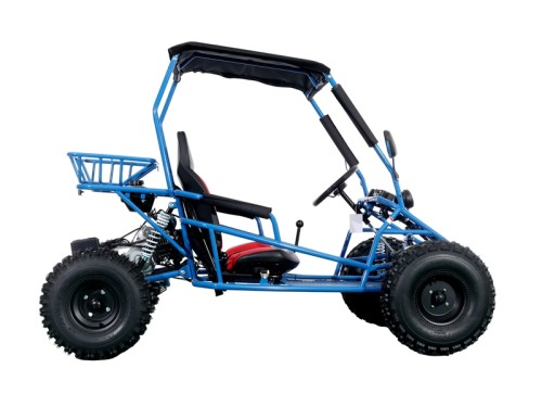 RAPTOR 150cc Semi Auto Buggy Teens & Adults Off Road Go Kart ATV Quad BLUE