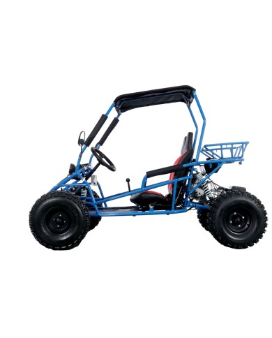 RAPTOR 150cc Semi Auto Buggy Teens & Adults Off Road Go Kart ATV Quad BLUE