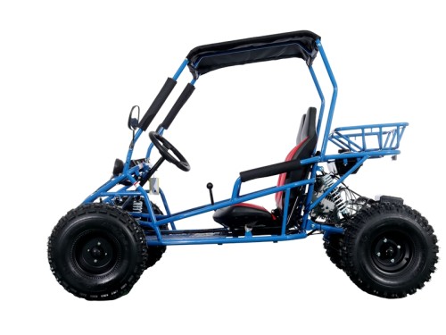 RAPTOR 150cc Semi Auto Buggy Teens & Adults Off Road Go Kart ATV Quad BLUE