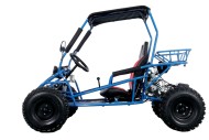 RAPTOR 150cc Semi Auto Buggy Teens & Adults Off Road Go Kart ATV Quad BLUE