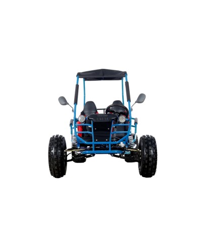 RAPTOR 150cc Semi Auto Buggy Teens & Adults Off Road Go Kart ATV Quad BLUE