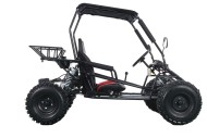 RAPTOR 150cc Semi Auto Buggy Teens & Adults Off Road Go Kart ATV Quad BLACK