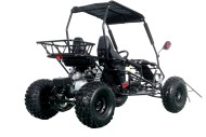 RAPTOR 150cc Semi Auto Buggy Teens & Adults Off Road Go Kart ATV Quad BLACK