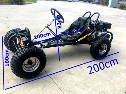 Torque270 Go Kart 9hp 270cc Teen Adult Off Road Buggy Torque Converter E-starter