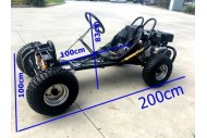 Torque270 Go Kart 9hp 270cc Teen Adult Off Road Buggy Torque Converter E-starter