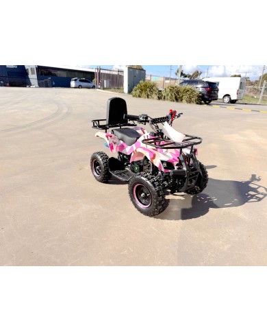 WILDFORCE49 49CC FARM QUAD BIKE ATV BUGGY KIDS 4 WHEELER HUASHENG 2-STROKE PINK