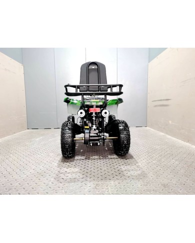 WILDFORCE49 49CC FARM QUAD BIKE ATV BUGGY KIDS 4 WHEELER HUASHENG 2-STROKE MJ MOTORGREEN